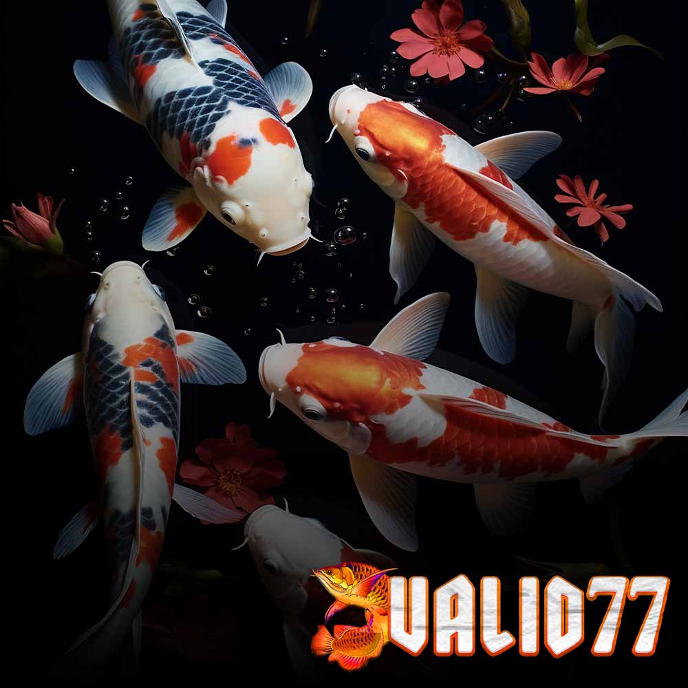 valid77 Paytom Hoodie front view